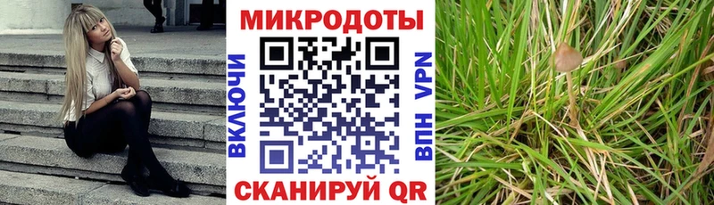 где можно купить наркотик  Котовск  Псилоцибиновые грибы Magic Shrooms 